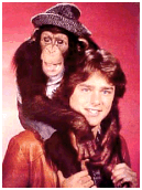 Greg Evigan and Sam as B.J. and the Bear
